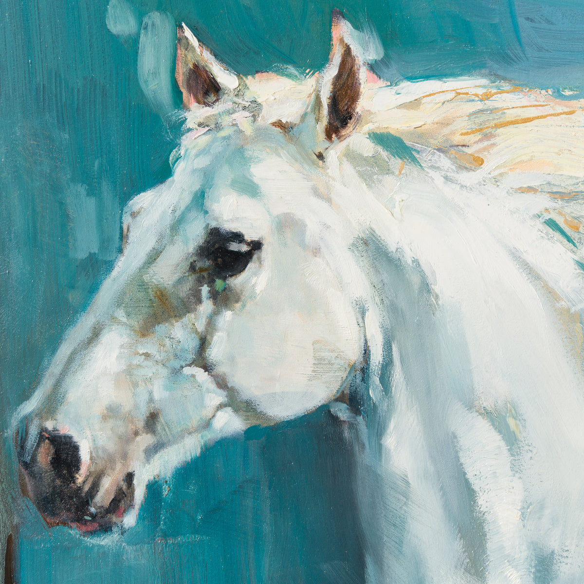Night Gallop
