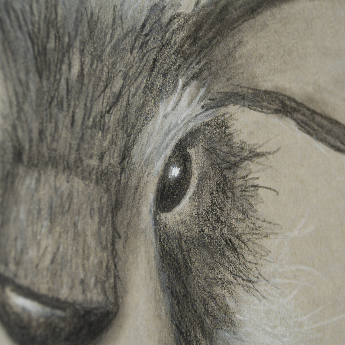 Mad March Hare