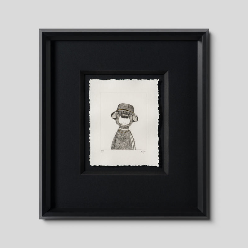 Indie Bear XIII