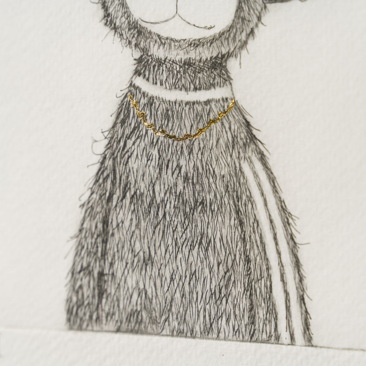 Indie Bear XIII