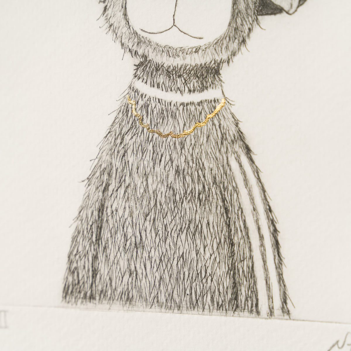 Indie Bear XVII