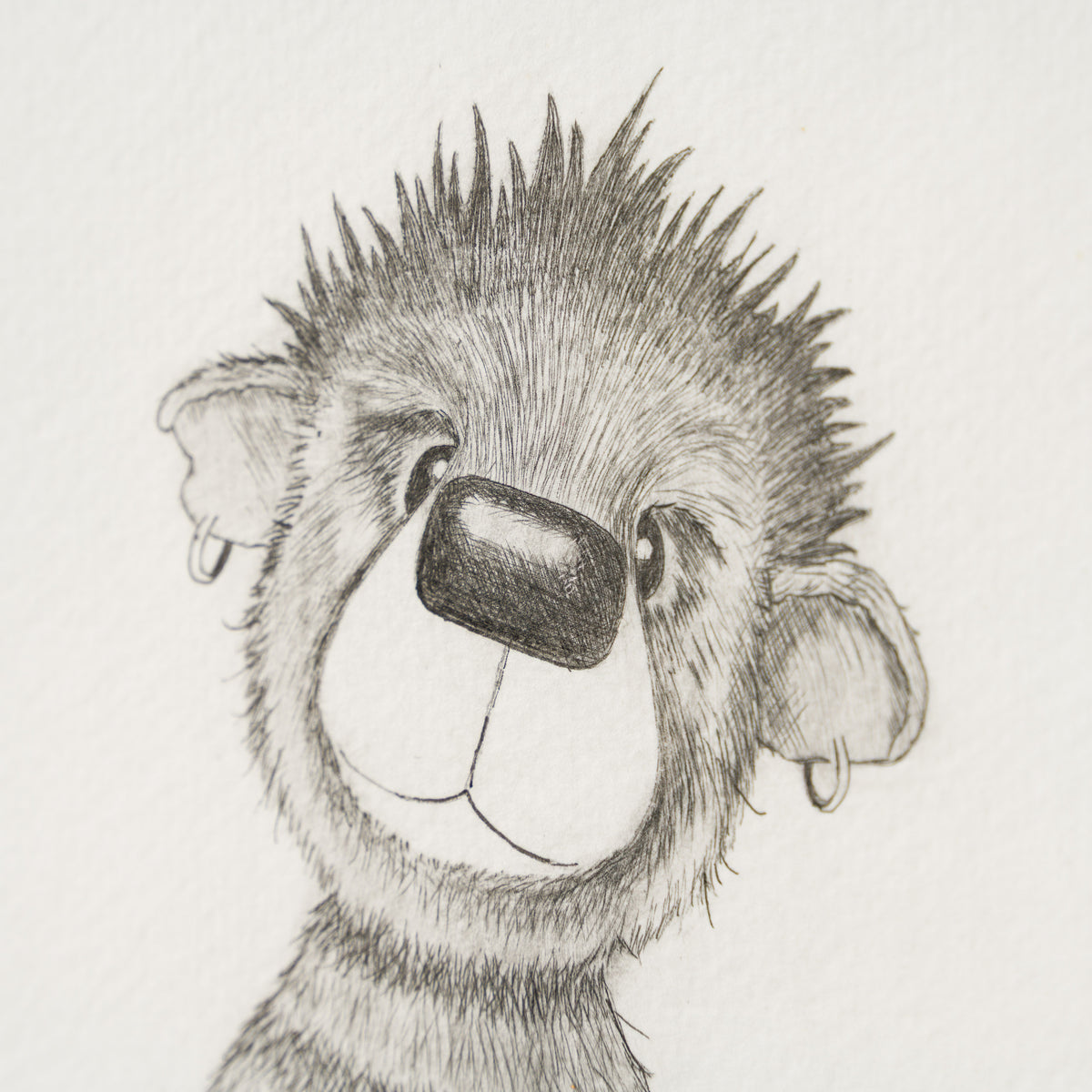 Anarchy Bear X