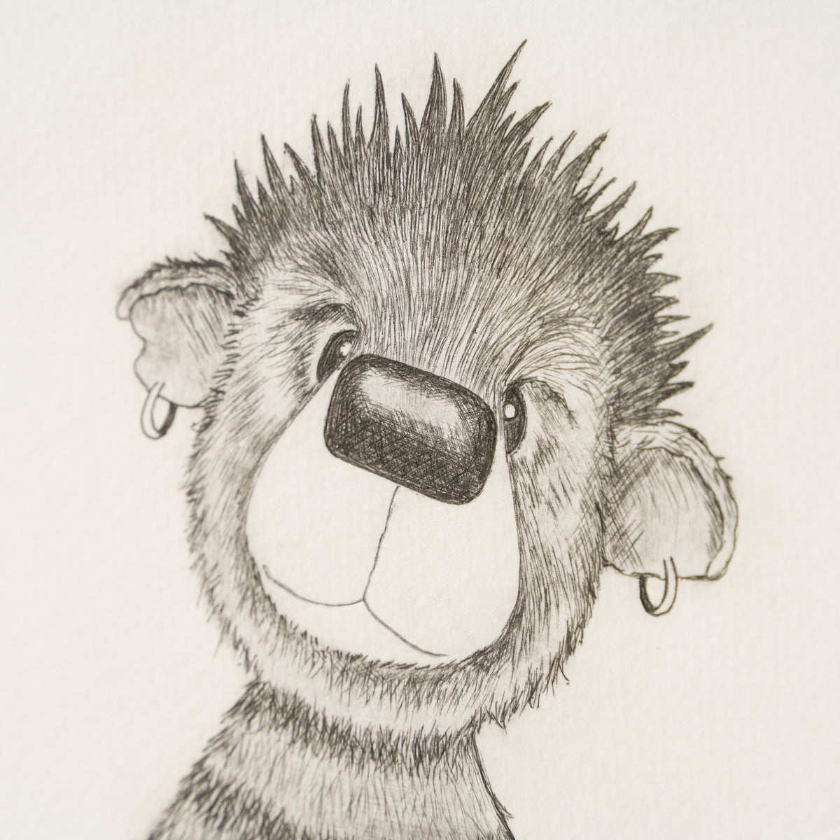 Anarchy Bear XI
