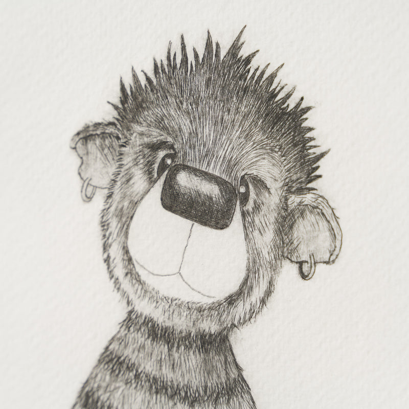 Anarchy Bear XIII