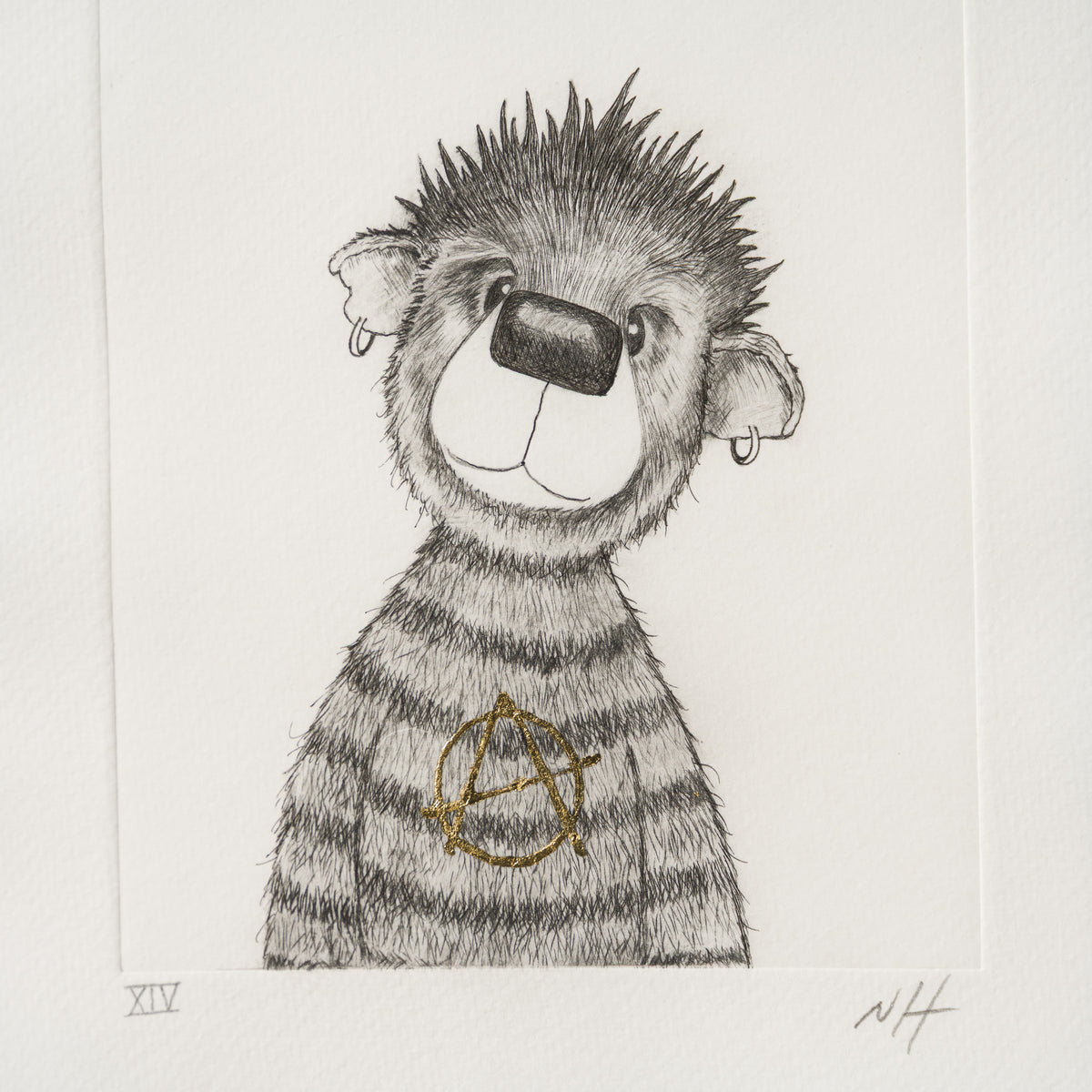Anarchy Bear XIV