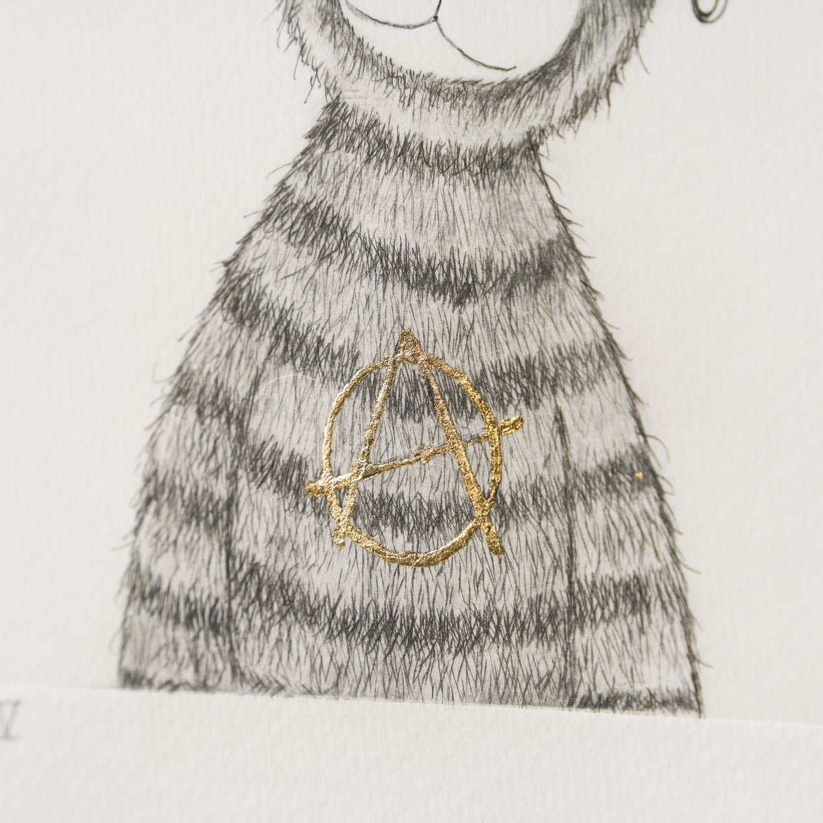 Anarchy Bear XIV