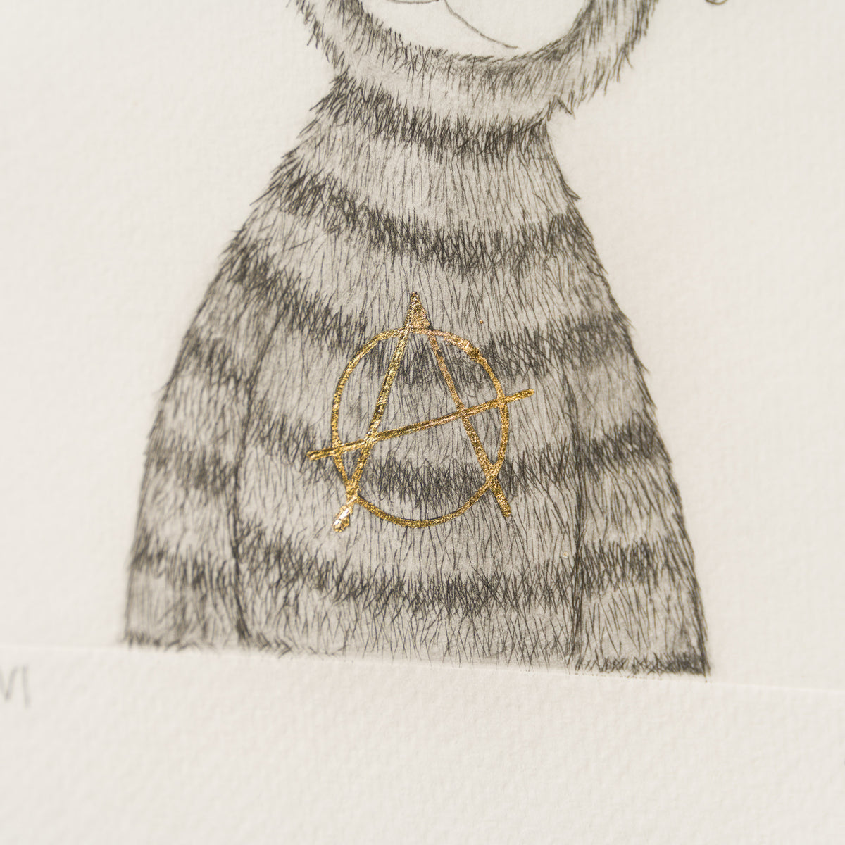 Anarchy Bear XVI