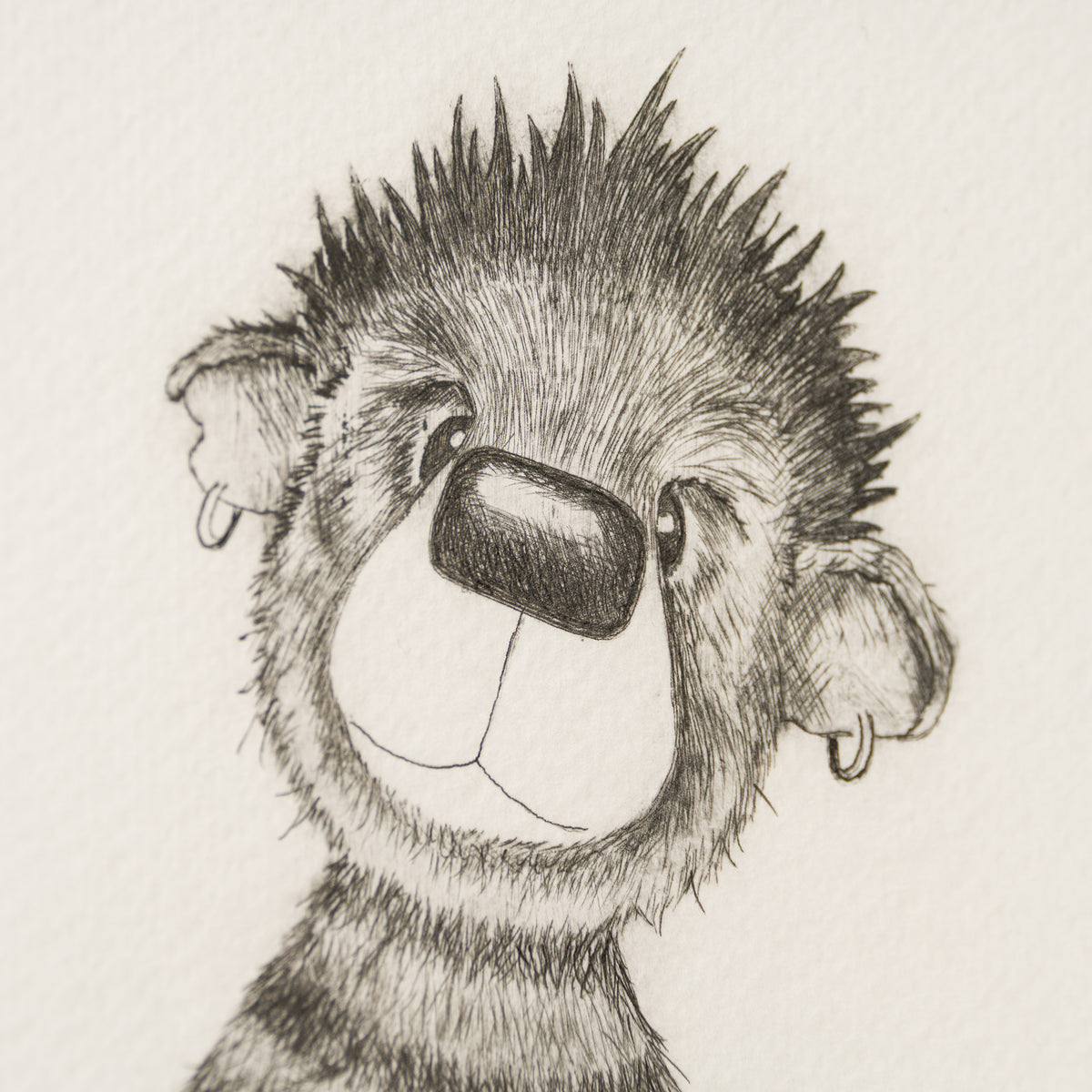 Anarchy Bear XVIII