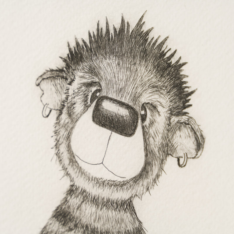 Anarchy Bear XVIII