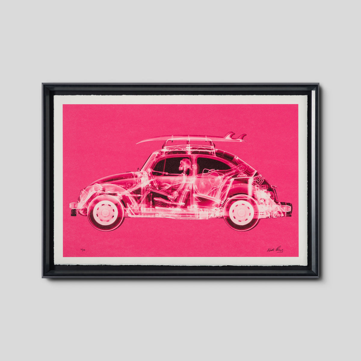 California Bug (Standard Pink)
