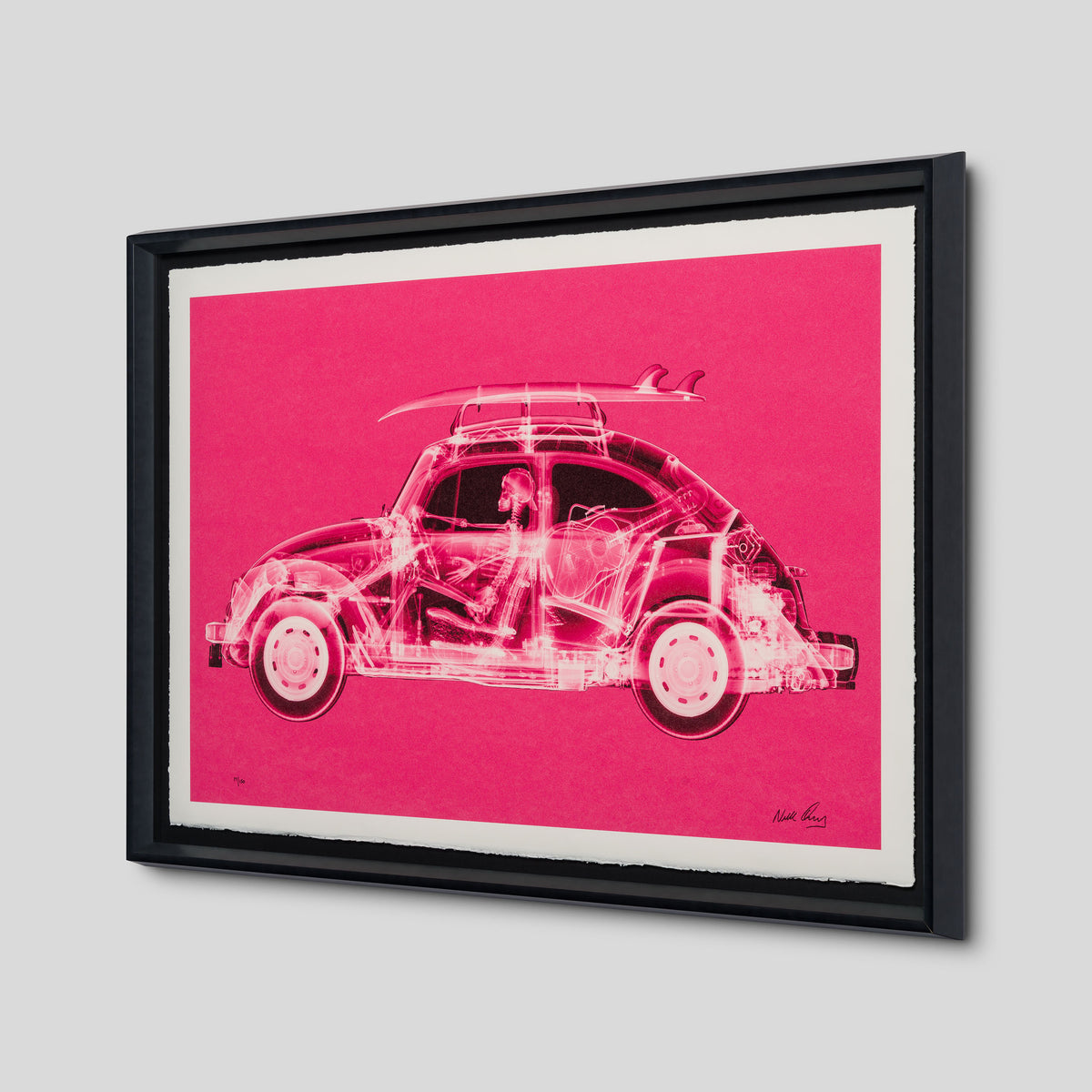 California Bug (Standard Pink)