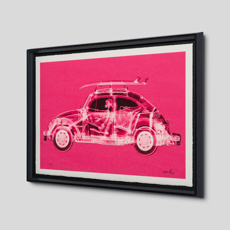 California Bug (Standard Pink)