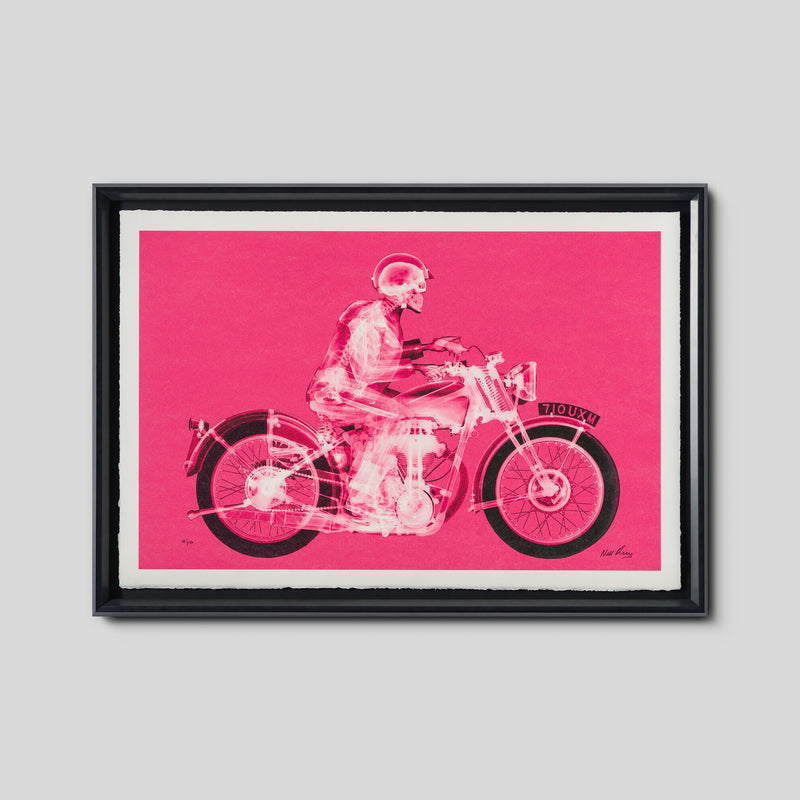 Matchless Rider (Standard Pink)