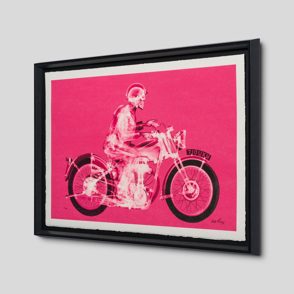 Matchless Rider (Standard Pink)
