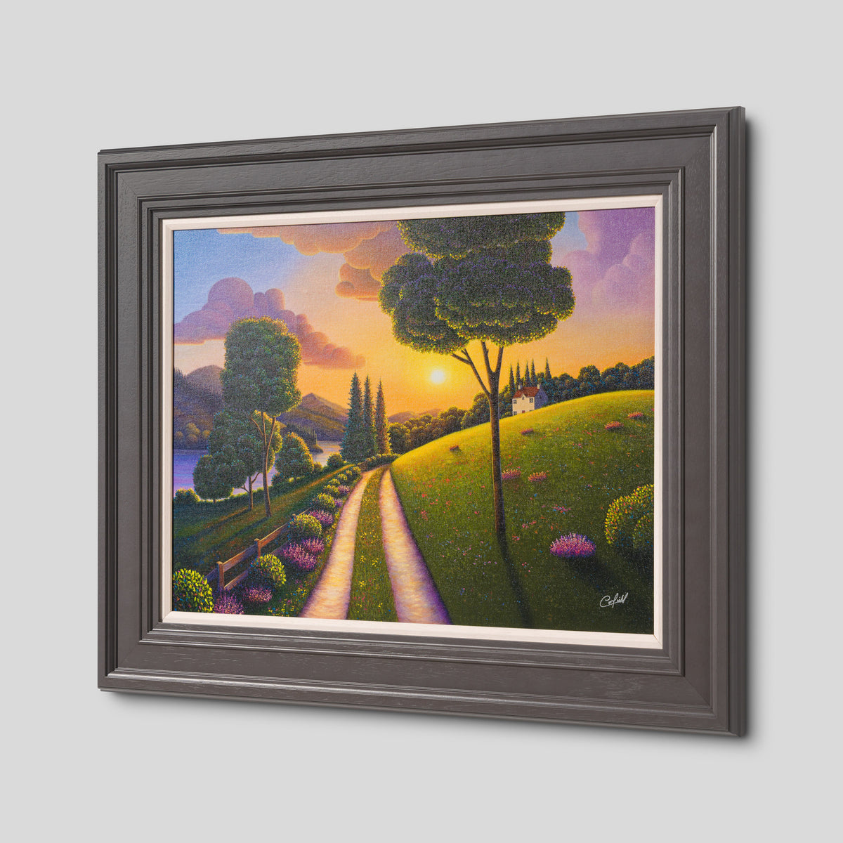 The Luminous Path