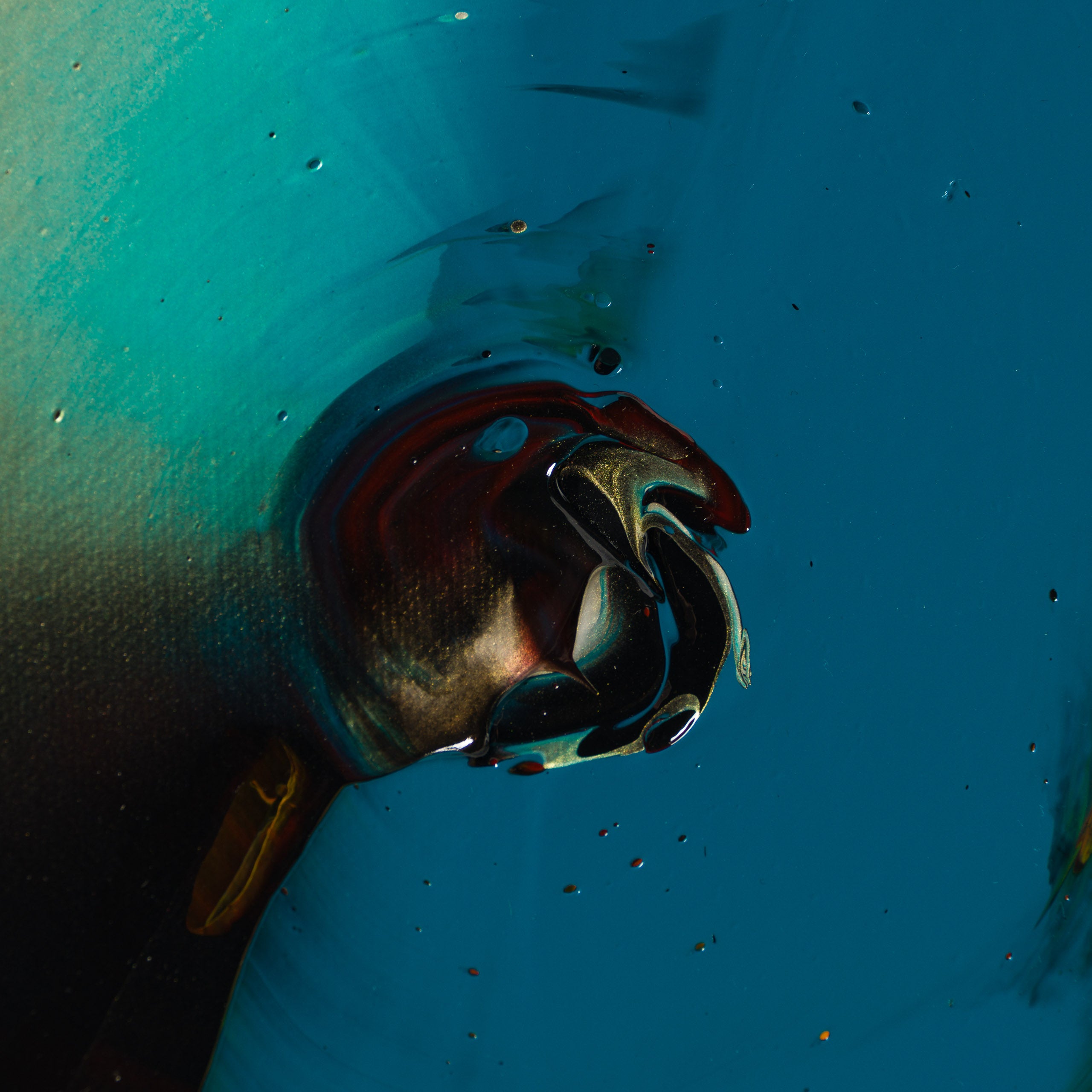 The Macules Of Perception | Creativity