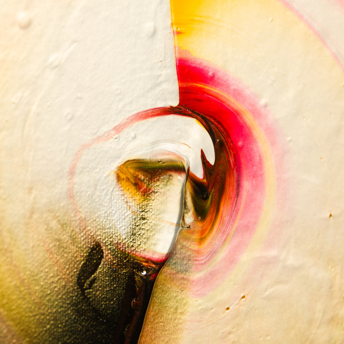 Compass Of Perception (Awareness) 2026