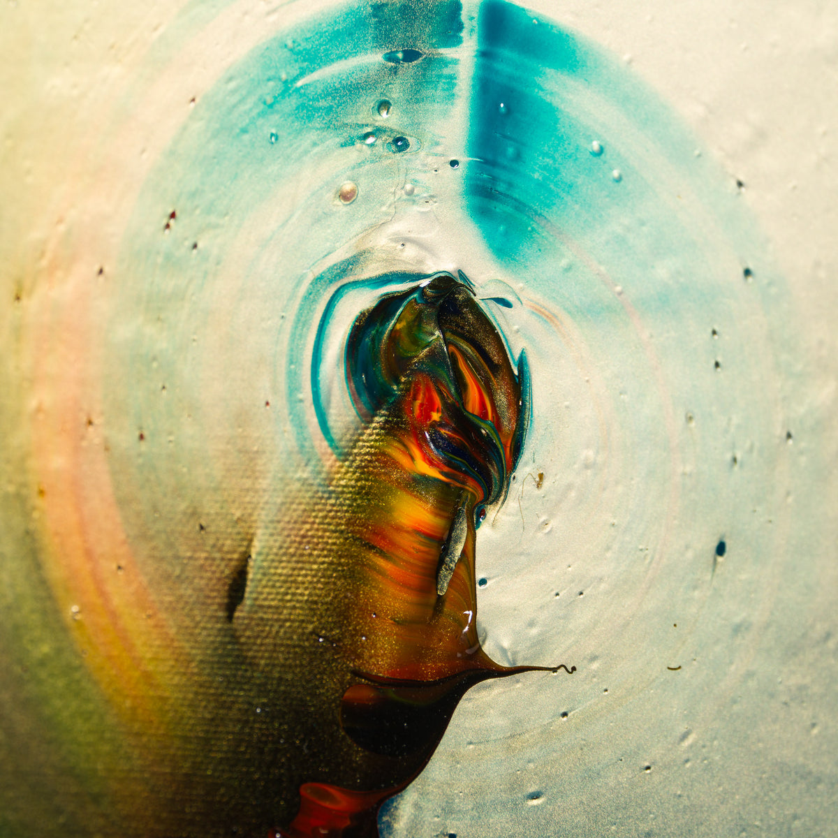 The Spiral - Motion Y sgwirl - Symudiad 2026