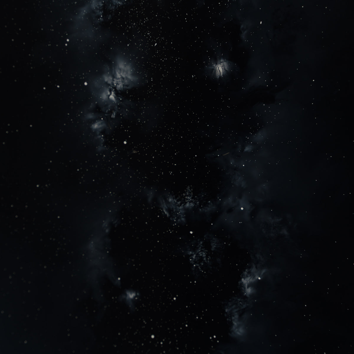 Where Silence Gathers
