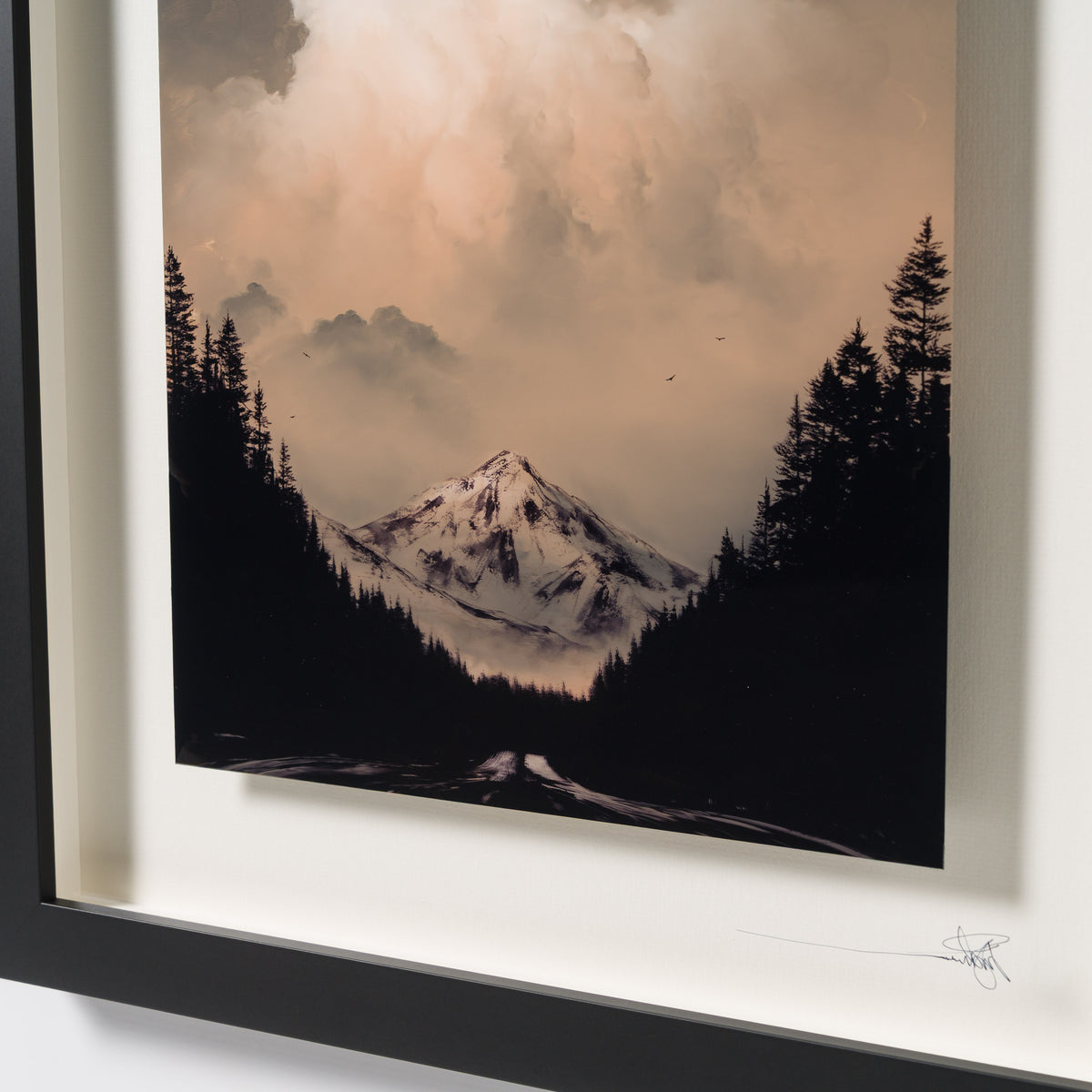 Beyond The Horizon XI