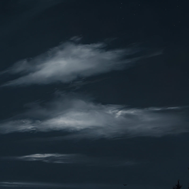 Beyond The Horizon (19)