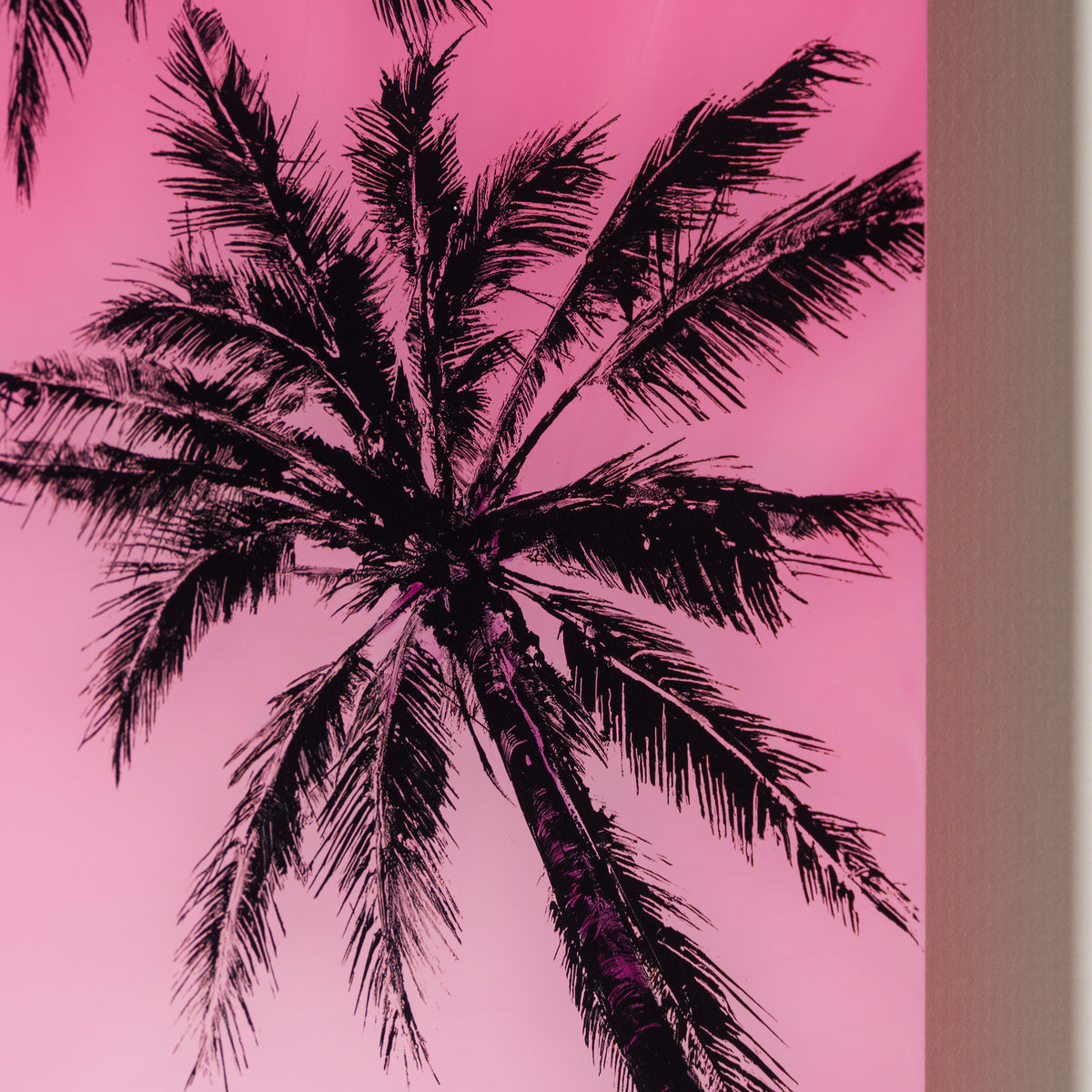 A Pause In Paradise VI