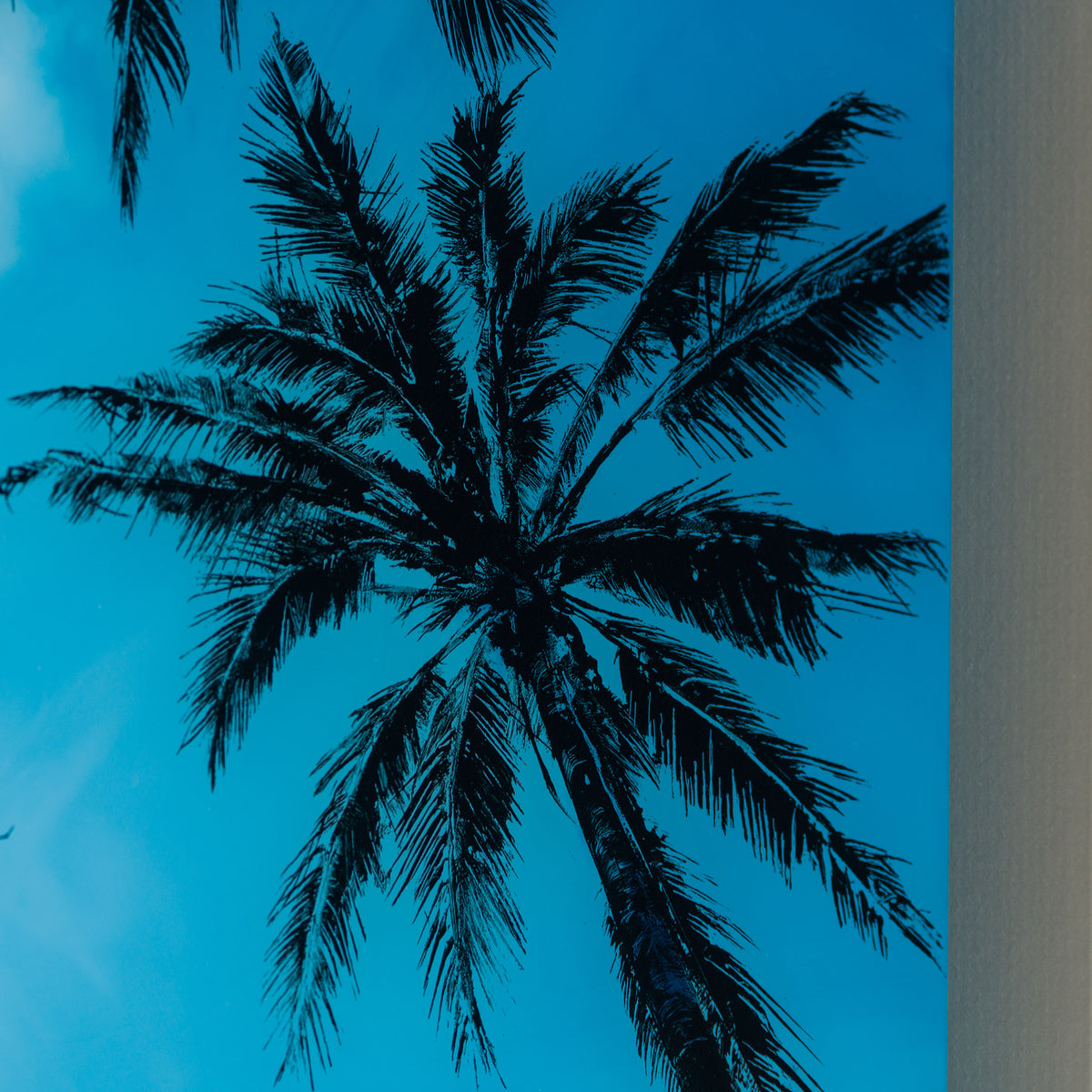 A Pause In Paradise XVIII