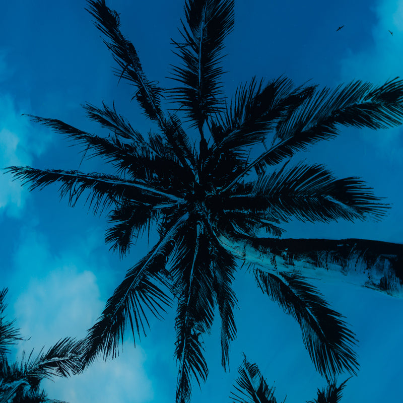 A Pause In Paradise XVIII