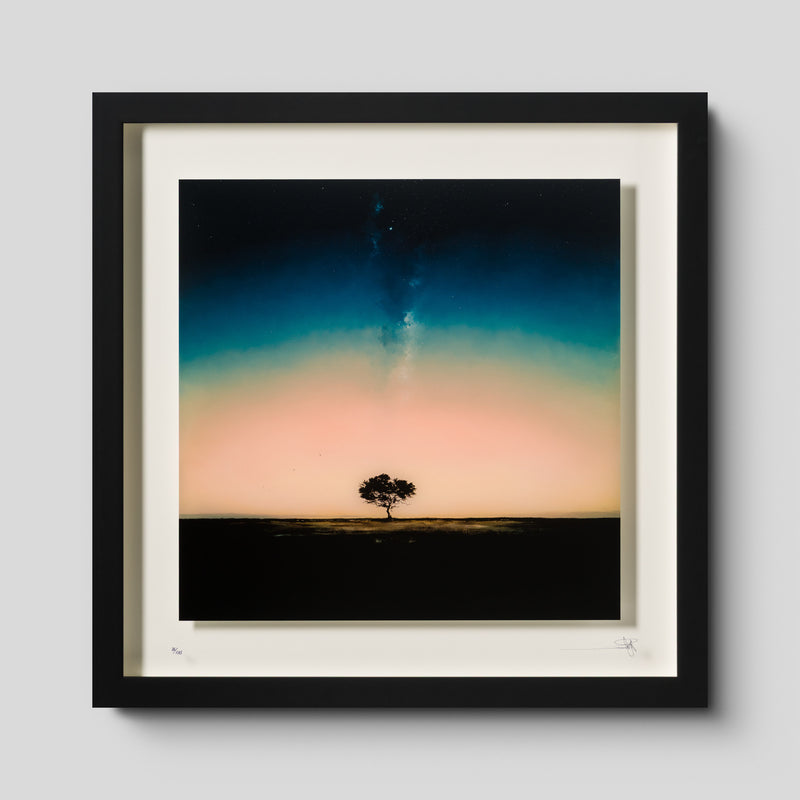Divide the Sky
