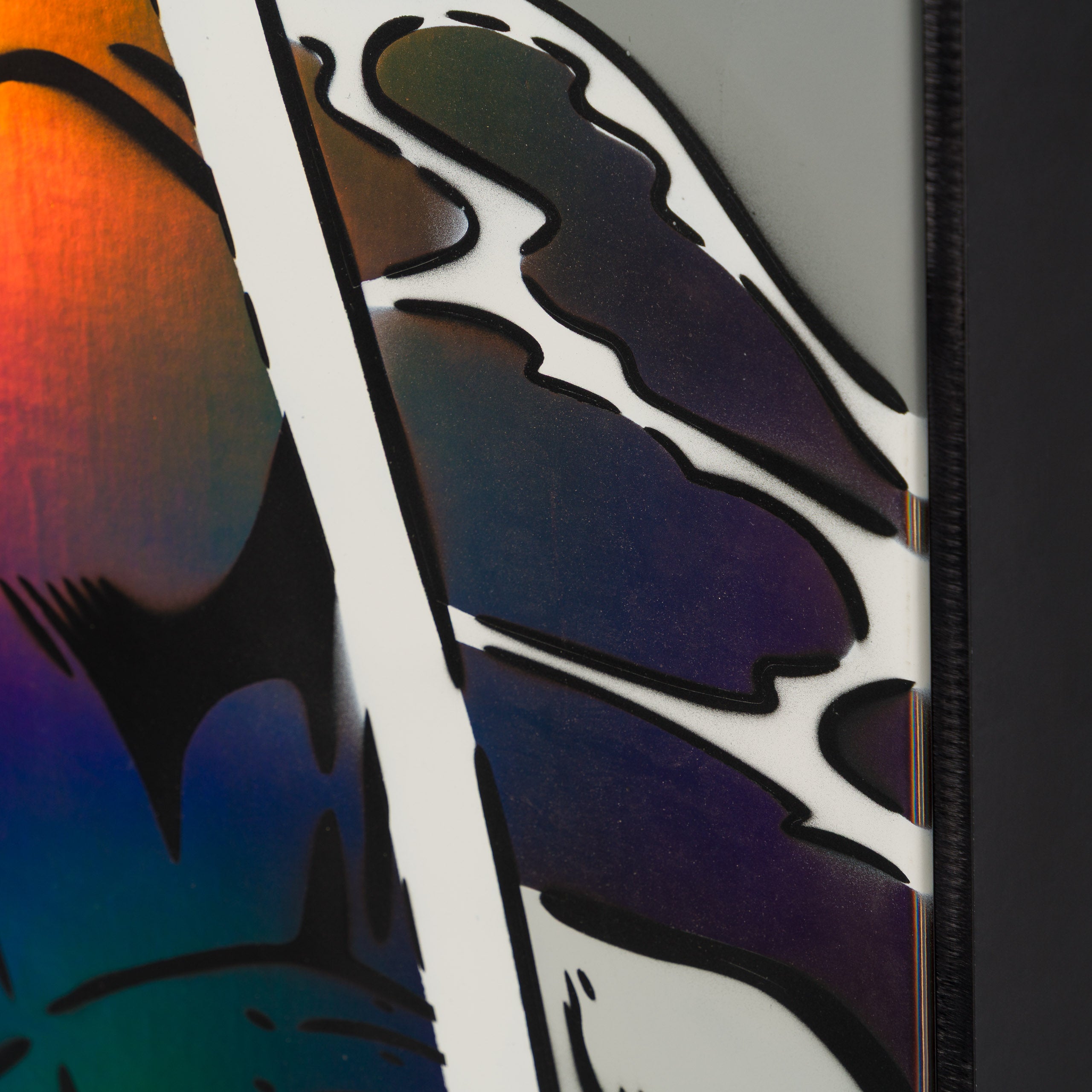 Between The Capes | Exposed Photo | Holographic