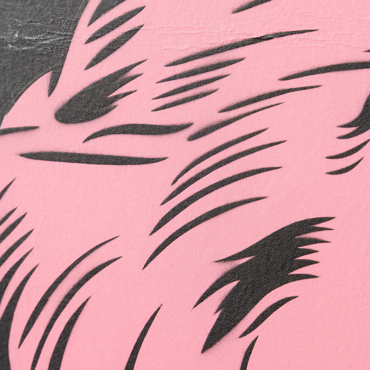 Tiger Tattoo Black Billboard Pink 2016