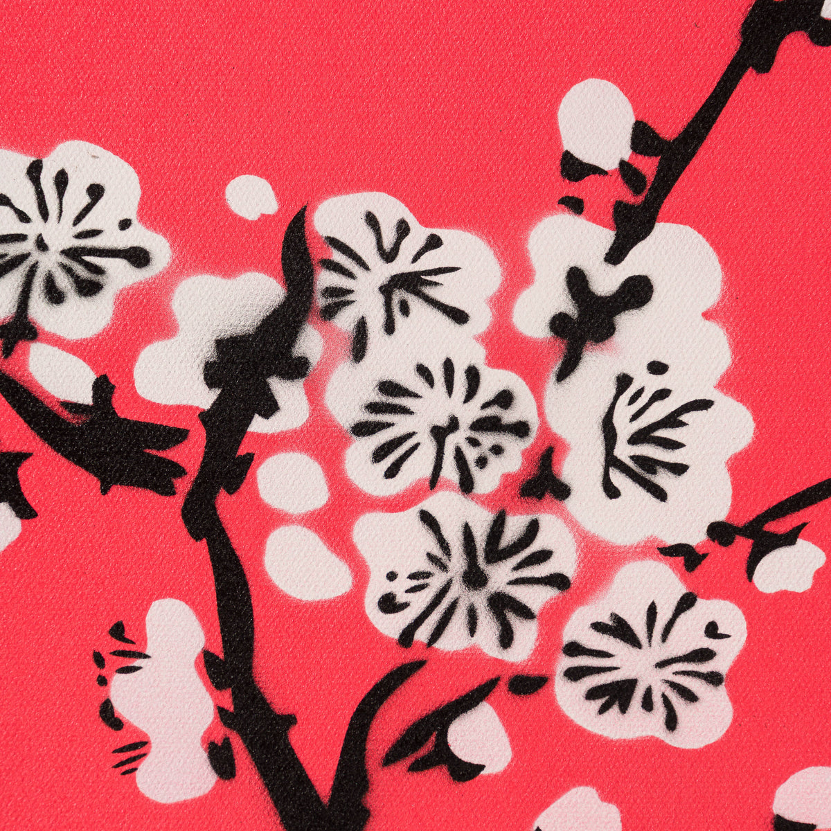 Skullerfly Cherry Blossom Lollipop 2019