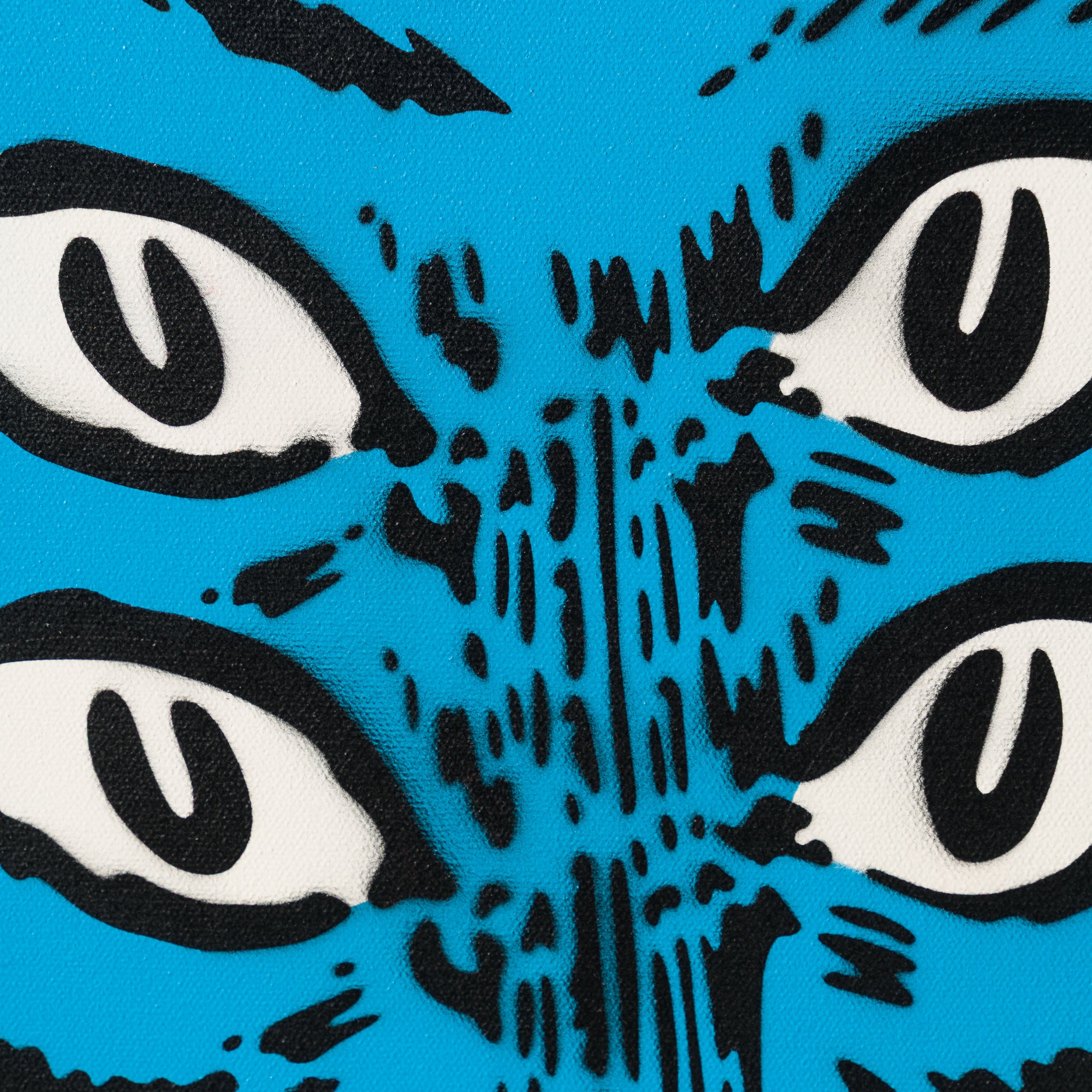 Four Eye Cat | Yellow/Blue