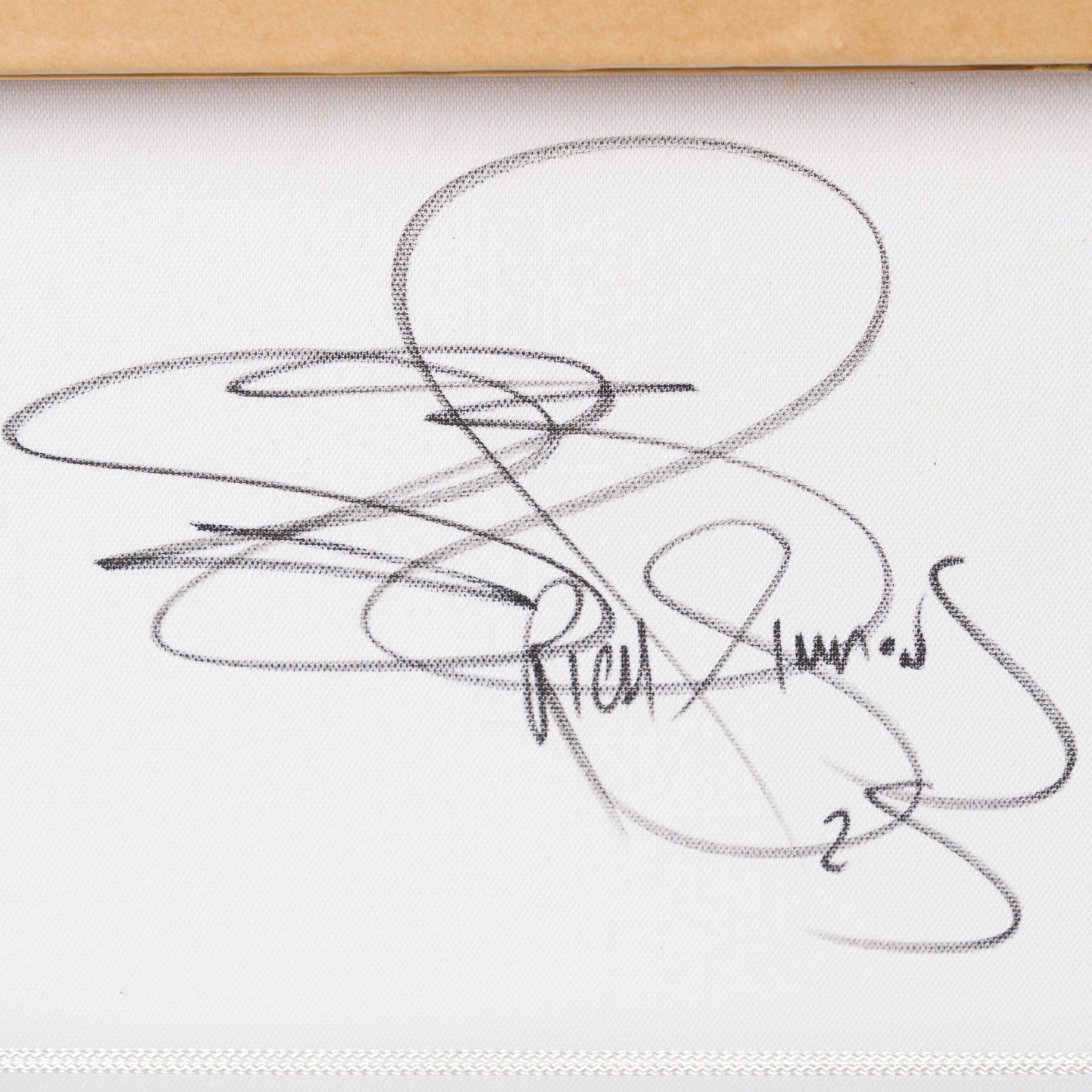 Four Eye Cat | Yellow/Blue