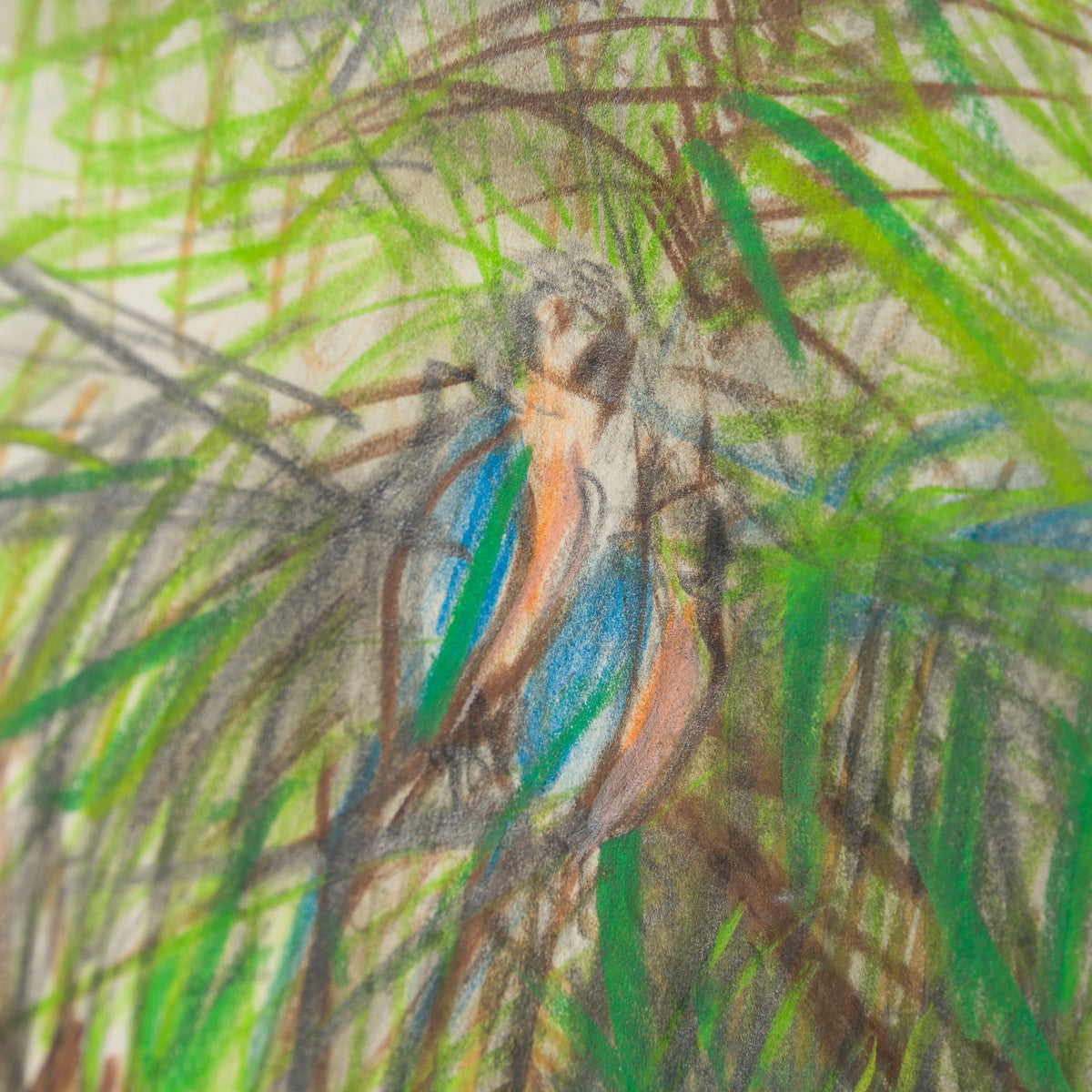 Tropical Forest