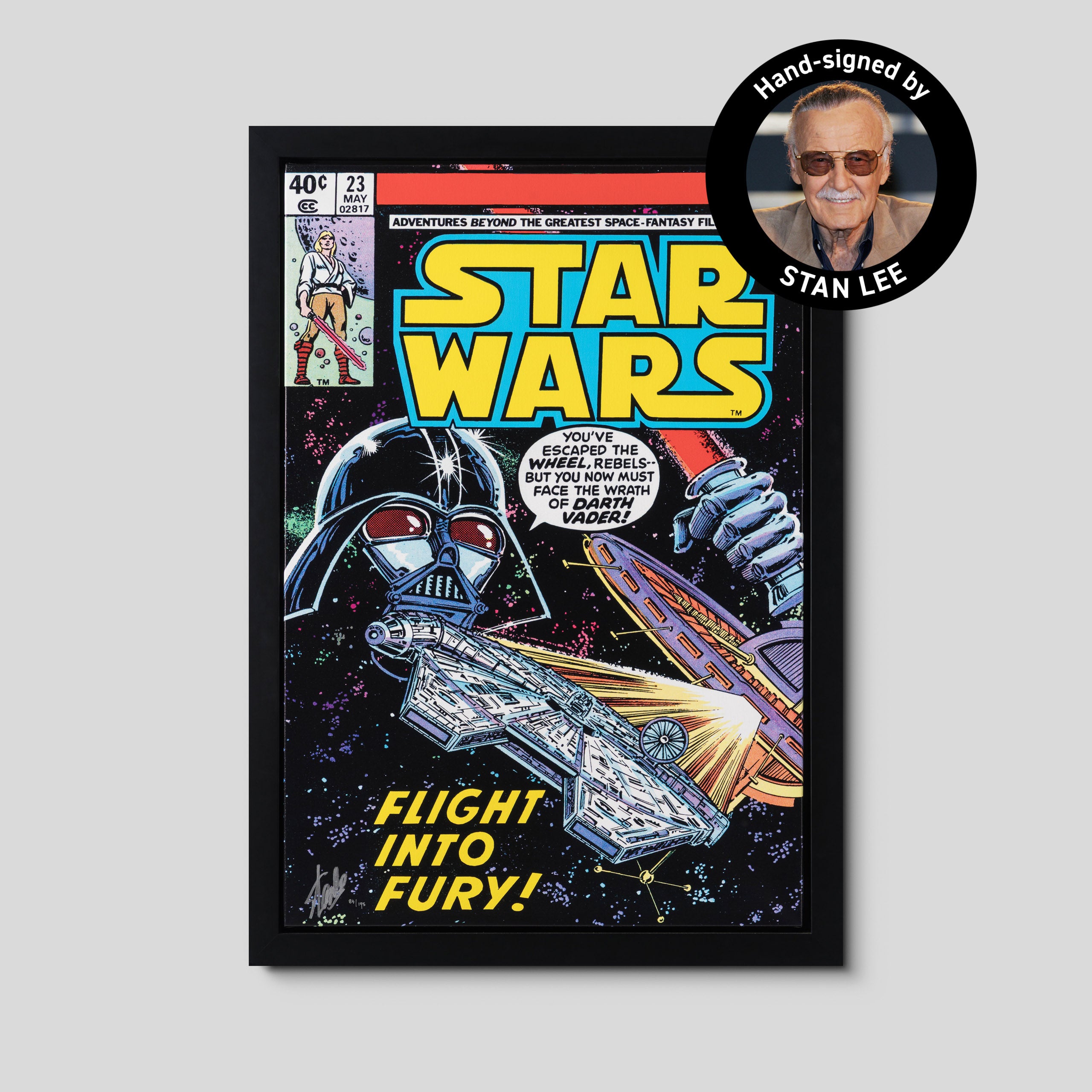 Star Wars #23 - Flight Into Fury | Box Canvas | Hand-signed by Stan Lee