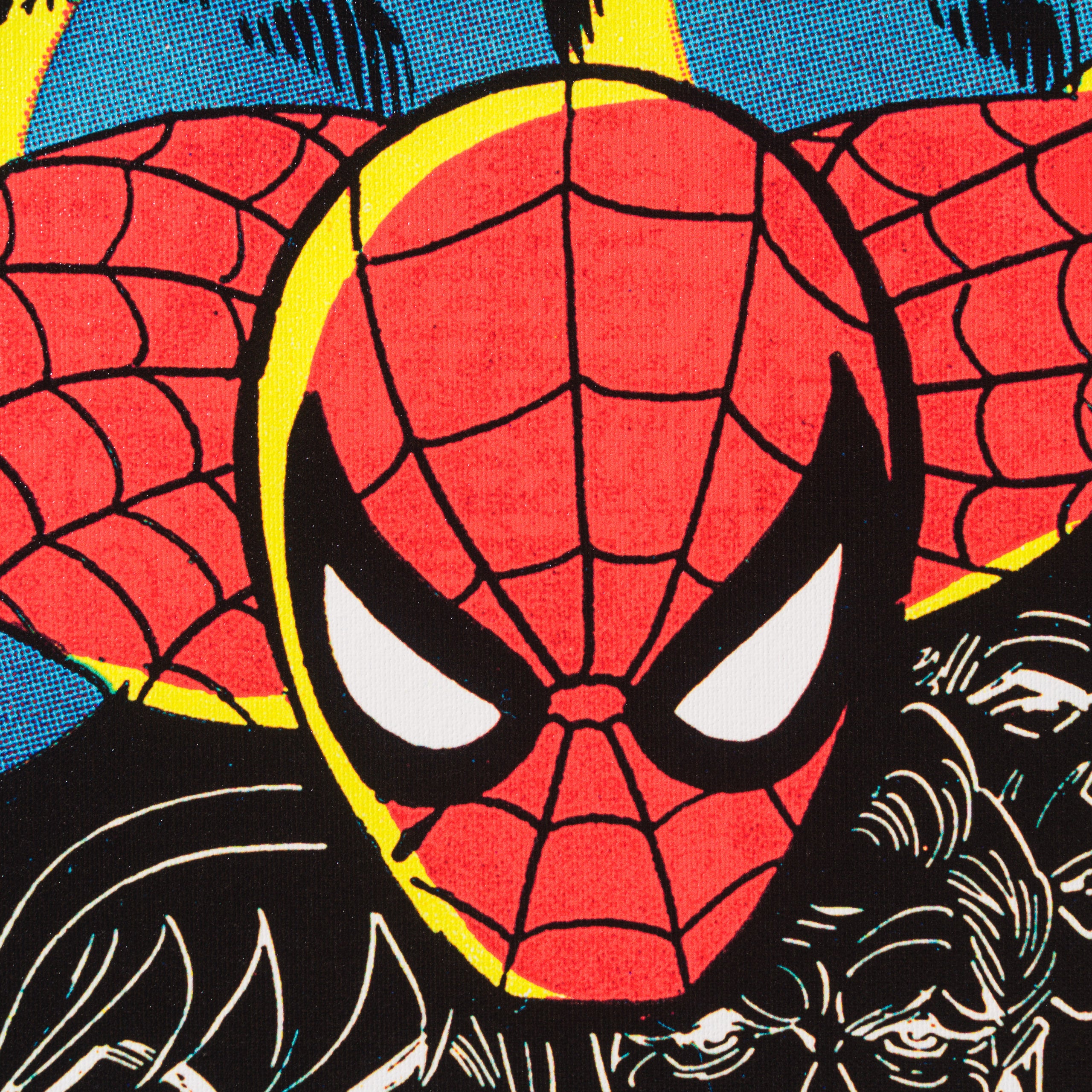 The Amazing Spider-Man #100 - The Spider Or The Man? - Boxed Canvas Edition