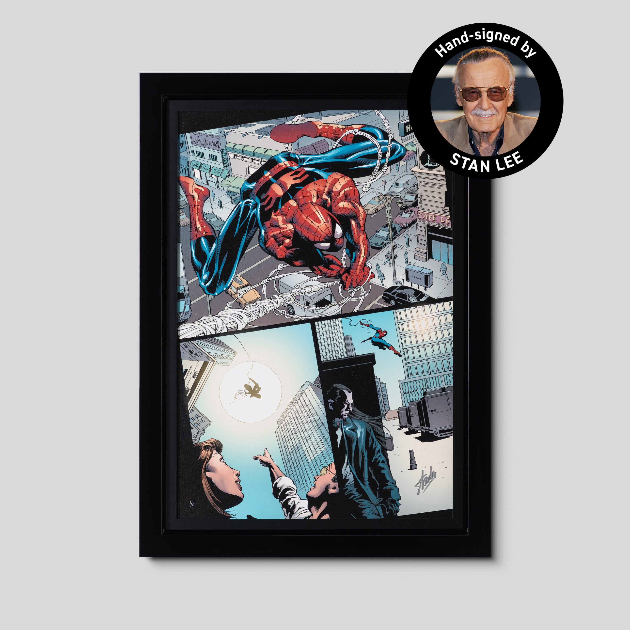 Amazing Spider-Man #526 | Standard Edition | Hand-signed by Stan Lee