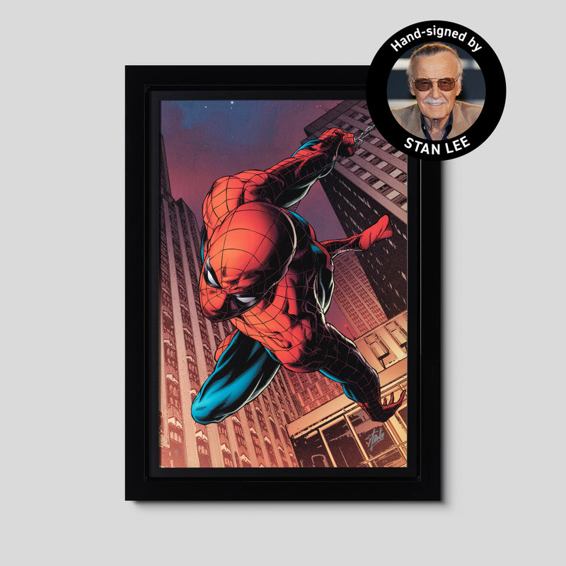 Amazing Spider-Man #641 | Deluxe Edition | Hand-signed by Stan Lee