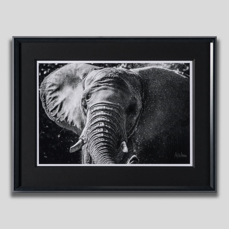 ABE SLE WWL 25722 1 Tusker 