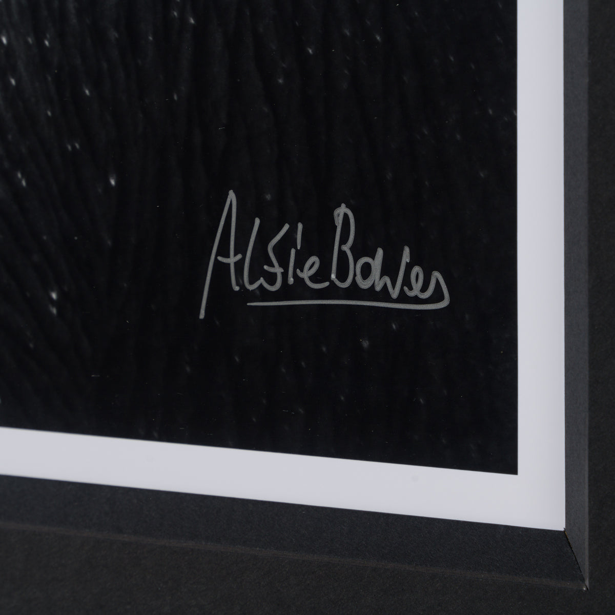 ABE SLE WWL 25722 3 Tusker 