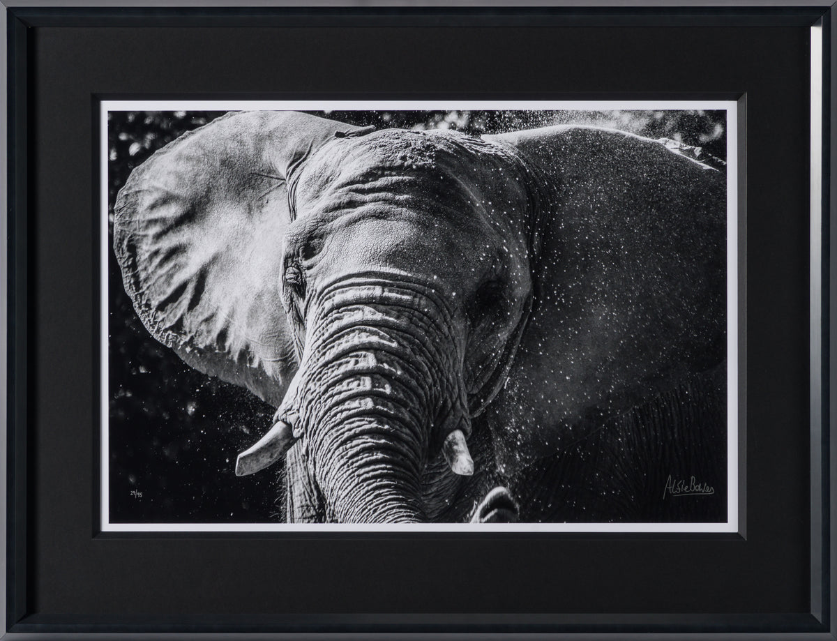 ABE SLE WWL 25722 30 Tusker 