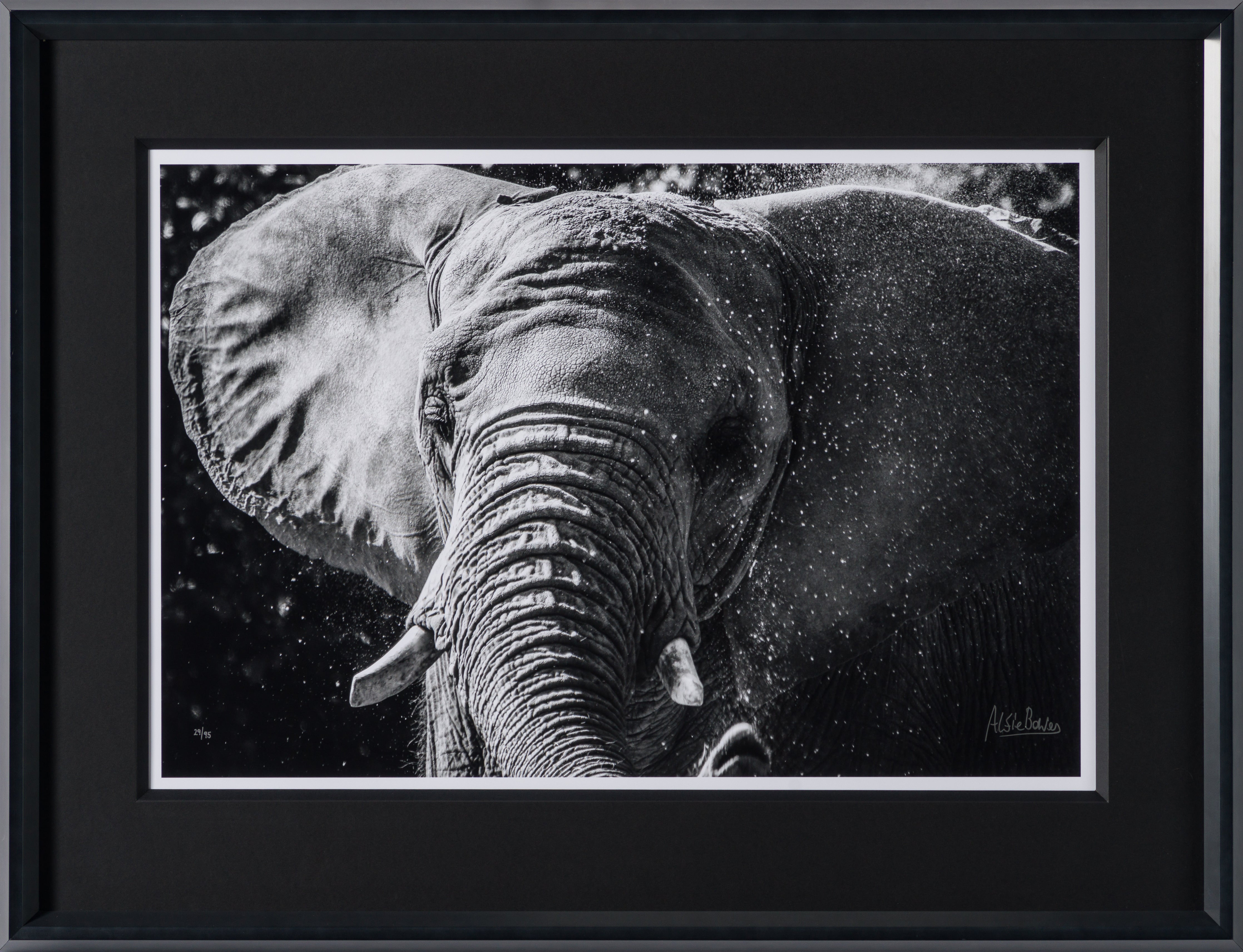 ABE SLE WWL 25722 30 Tusker 