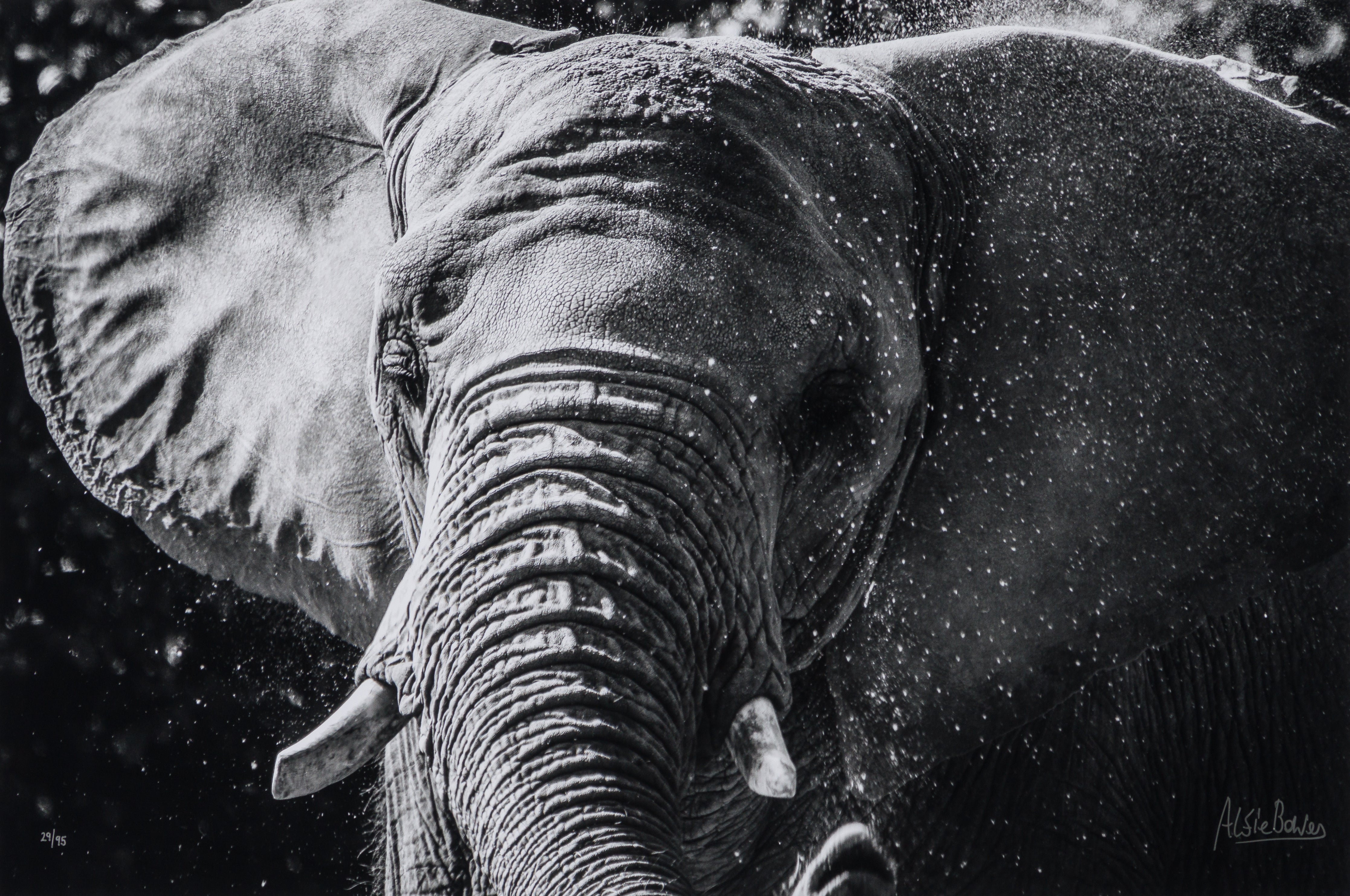 ABE SLE WWL 25722 31 Tusker 