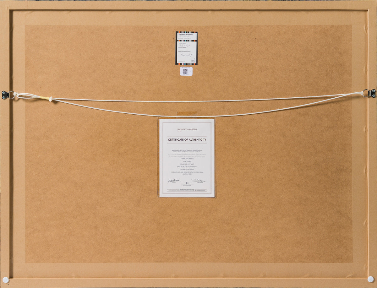 ABE SLE WWL 25722 6 Tusker 