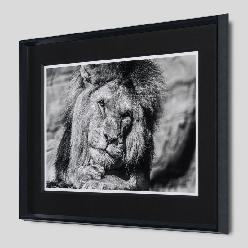 ABE SLE WWL 25723 2 Sovereign 