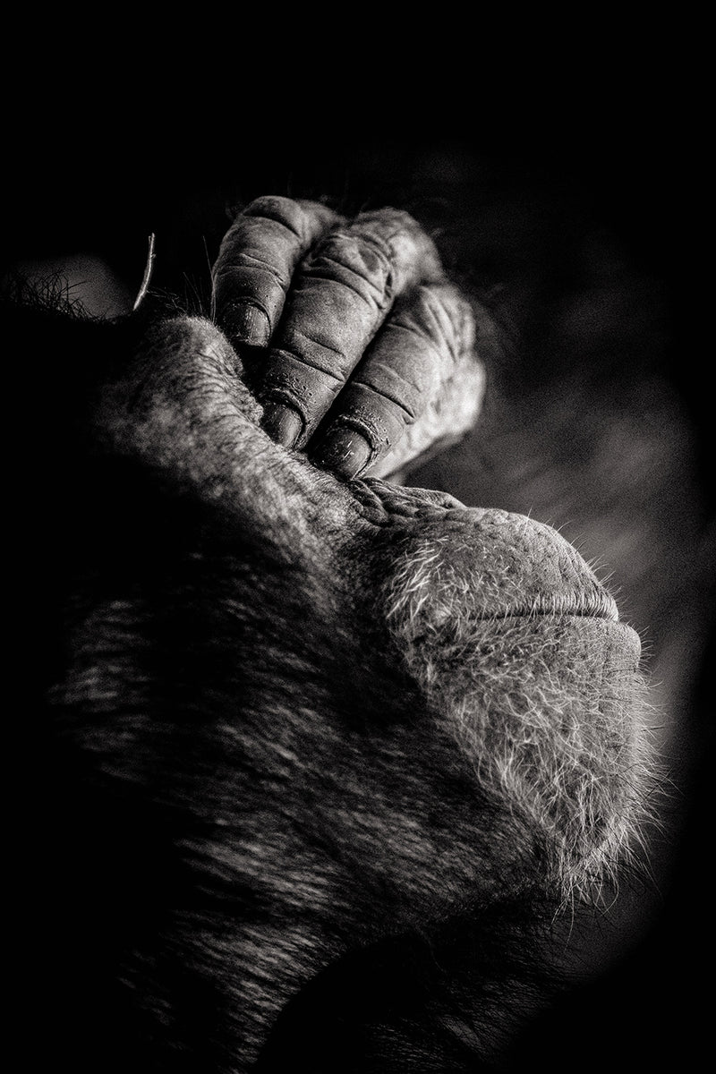 ABO Its Been A Long Day 