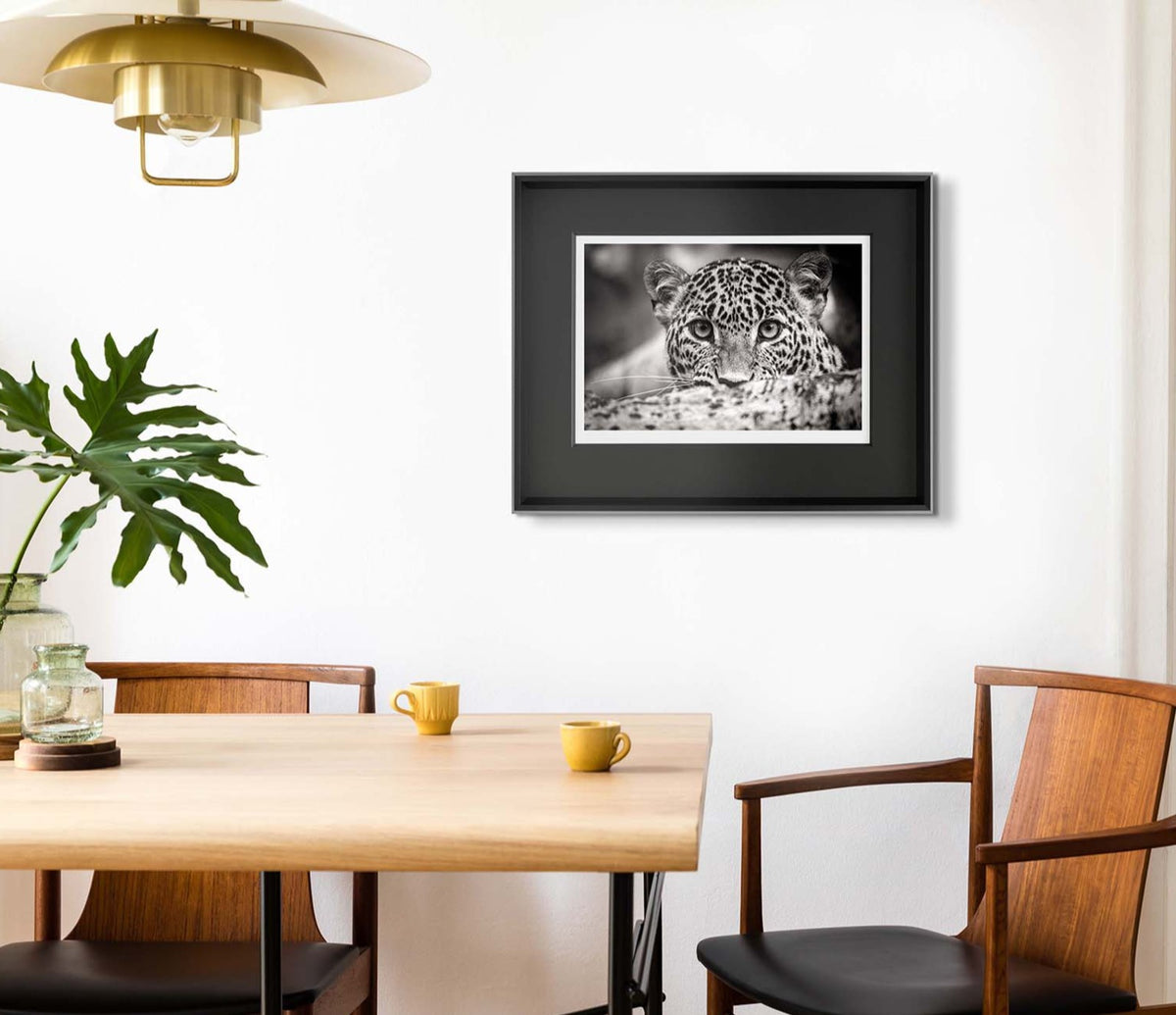 ABO Room set 3 1600x1380 