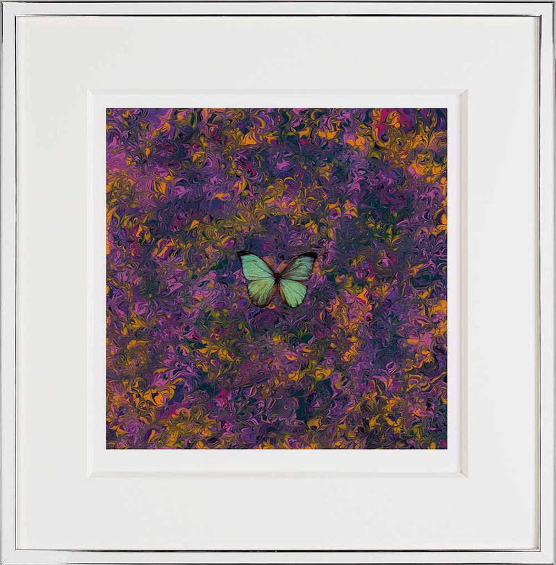 aec into the night f