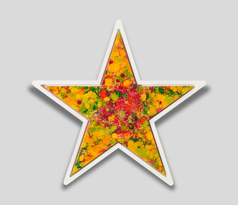 AEC ORI ABS 09202 1 Garden Star 2 